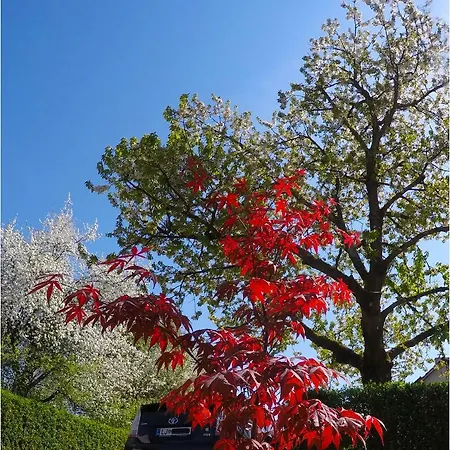 Studio Southwest 1 With Aircon & Free Parking * Ljubljana